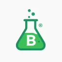 BitLabs