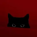Neko 猫