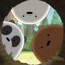 bear cave