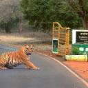 Chandrapur