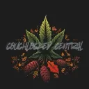 ᴄᴏᴜᴄʜʟᴏᴄᴋᴇᴅ ᴄᴇɴᴛʀᴀʟ 18+ discord icon