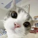 Tracklify