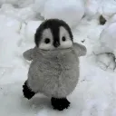 Silver's Stories 🐧
