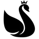 BlackSwanTV