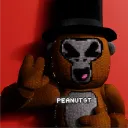 PEANUTGTs BASEMENT