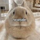 Online  Hookje Discord server icon