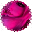 EGirls 💅🏼 | Ask to DM ・ Aesthetic ・ Chat ・ Ask2dm ・ Tags ・ SFW ・ Non Dating ・ Cats