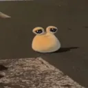 𝐒𝐎𝐂𝐈𝐀𝐋𝐈𝐓𝐘