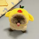 𝙀𝙡𝙮𝙨𝙞𝙖𝙣