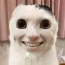 SERVEUR DU STREAMER PRO