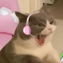 areyoukittenn's server