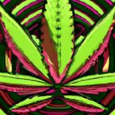 Cannabis Community BW powered by CSC Karlsruhe
