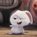 The pplu Discord server icon