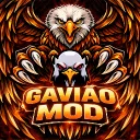 GAVIÃO CHEATS🦅