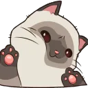 Sisu