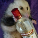 𝙇'𝙤𝙥𝙥𝙤𝙨𝙪𝙢 𝙛𝙖𝙧𝙘𝙚𝙪𝙧 ✰ Discord server icon