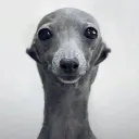 GoonCord