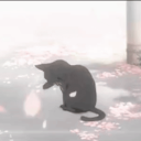 ≽^• ˕ • ྀི≼/｡𖦹°‧spaghetticats Discord server icon