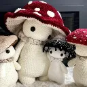 The Mushroom Guy Cult