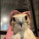 BAITHAK
