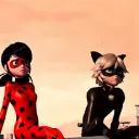 kitty's roof
