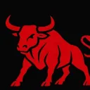 Bull Inverstment Group