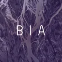 Bia's server