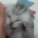 सिर दर्द BU