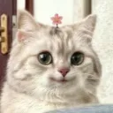 ChennaiTestServer Discord server icon