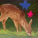 The Forest