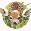 Forest of Fawns Discord server icon