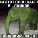 ЕСЛИ ЭТОТ СЛОН НАБЕРЁТ 5 ЛАЙКОВ МЫ ВЫЛОЖИМ ЕГО СНОВА