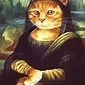 Cat Community