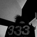 3³3
