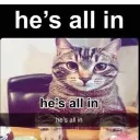 Friendly friends server