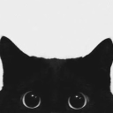 meow’s castle⋆˚࿔ Discord server icon