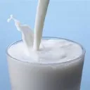 The Milk's Shop