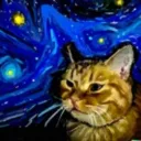 SpaceO cats <3 | Discord
