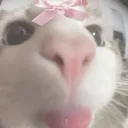 ♡☆+-Åńğęłš şäňçťűąřÿ-+☆♡