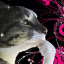 thinkers and philosophers united Discord server icon