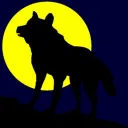 Shea Pack🐺