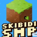 Skibidi LifeSteal SMP