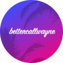 Wayne's Safehouse Discord Server Icon