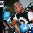 All Things Boxing