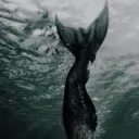 /SIRENS
