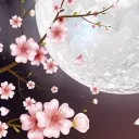 ✰MOONM00MY’s Realm✰