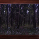 ᐟᐟ ⟢   the forest  🌲  ˚. !! Discord server icon