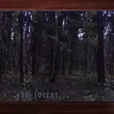 ᐟᐟ ⟢   the forest  🌲  ˚. !!