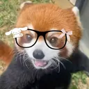 Uղիolỿ Piss Cᴜl𝚝