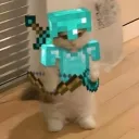 Chaton~Faction